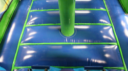 04 Green Purple Wet Dry 28' Green N Purple Bounce House Wet or Dry Water Slide Combo