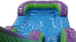 05 Green Purple Wet Dry 28' Green N Purple Bounce House Wet or Dry Water Slide Combo